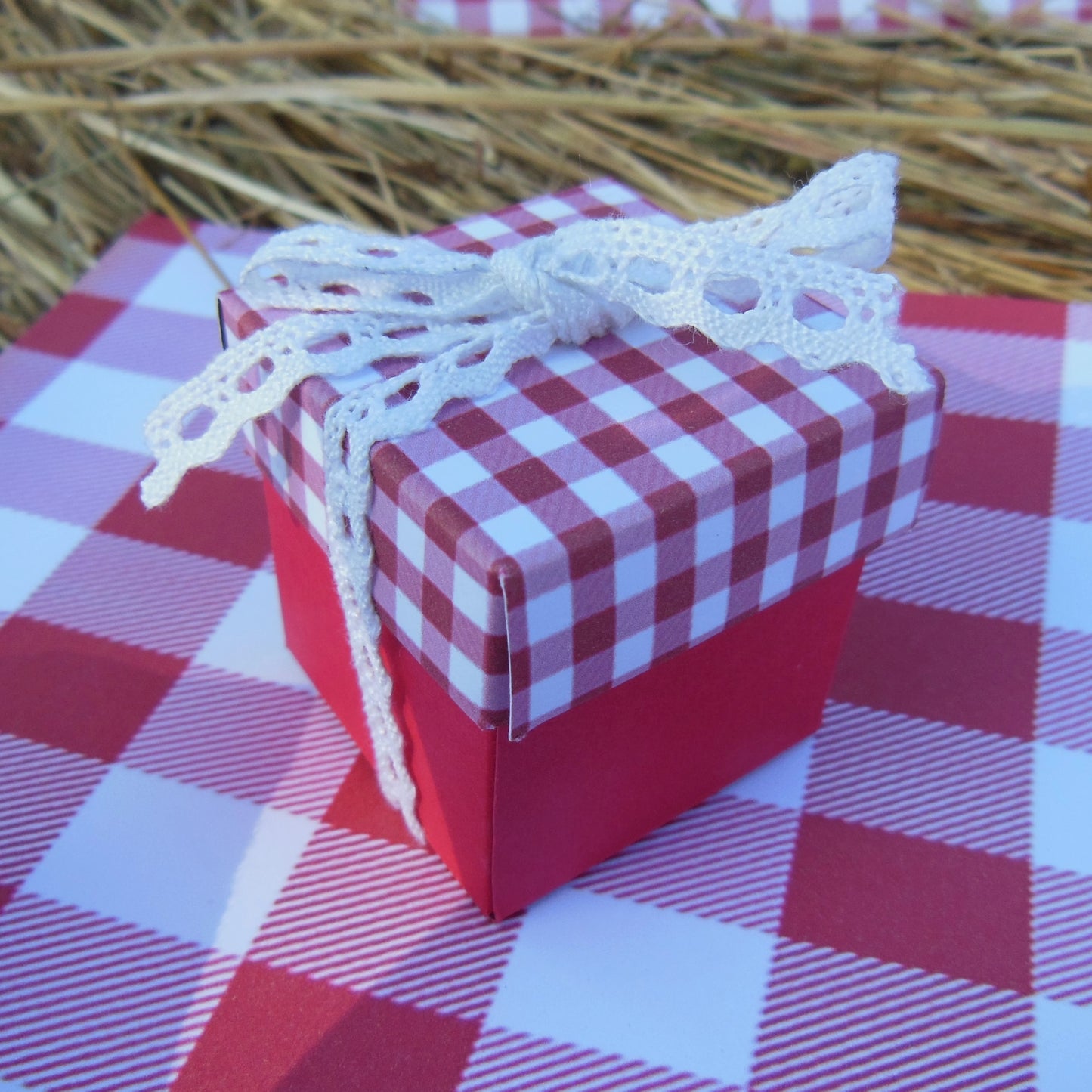 boite dragées tissu vichy bapteme mariage communion guinguette champêtre