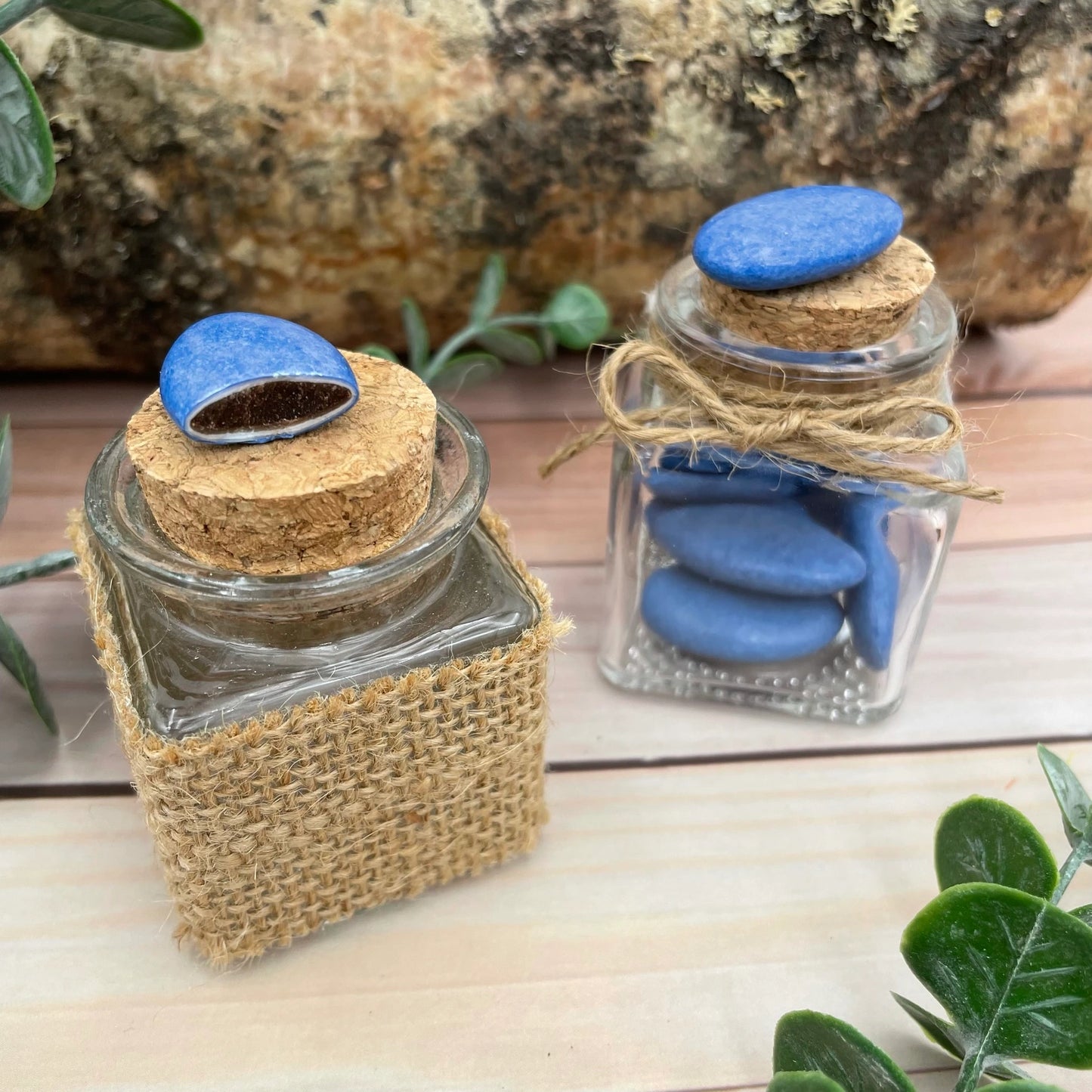 dragees chocolat bleu marine bapteme reynaud