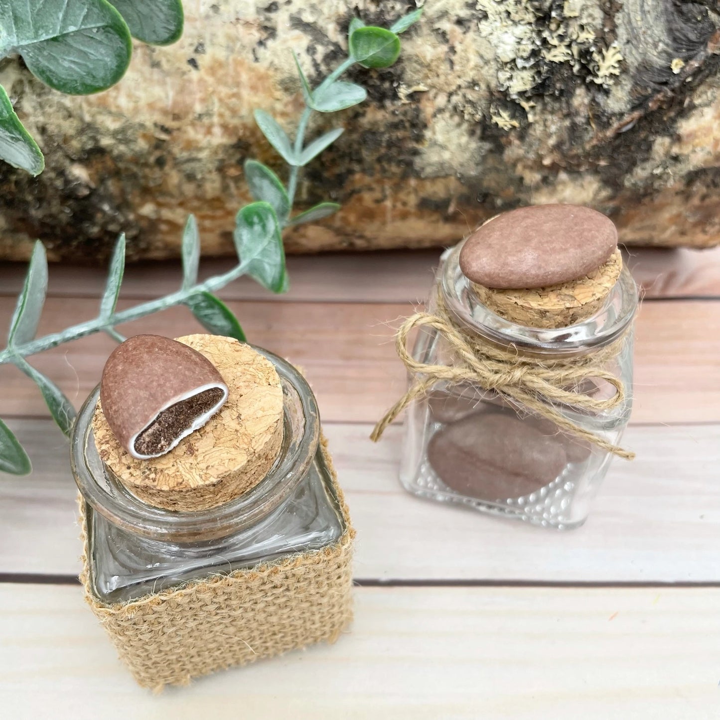 dragees chocolat marron bapteme reynaud