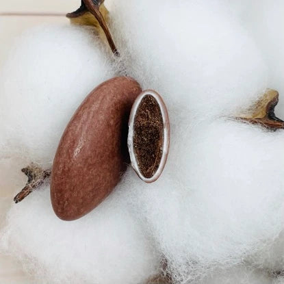 Mixte Dragées chocolat Rose et Marron 70% cacao 500g